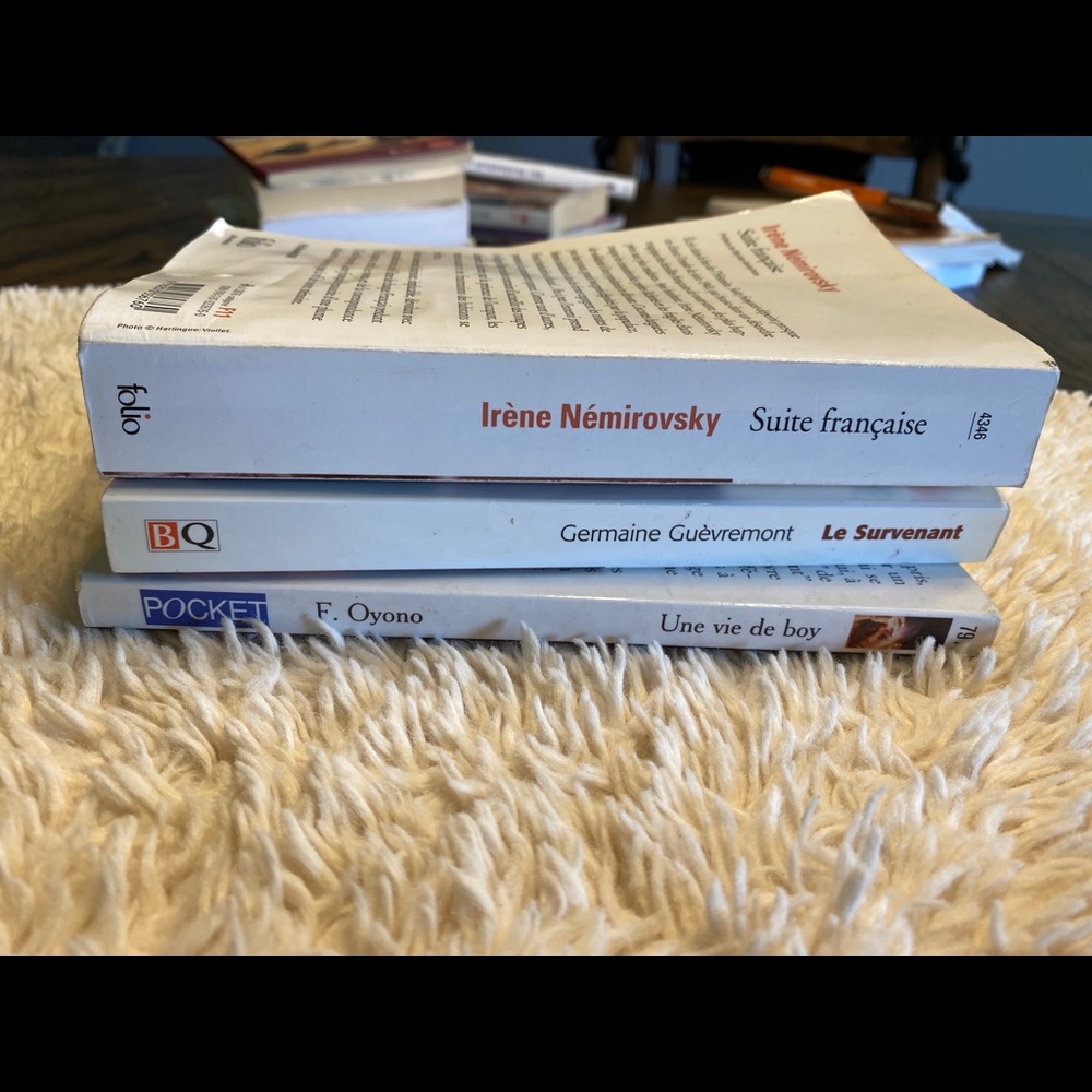 French Novels 3 Total including Suite Francaise